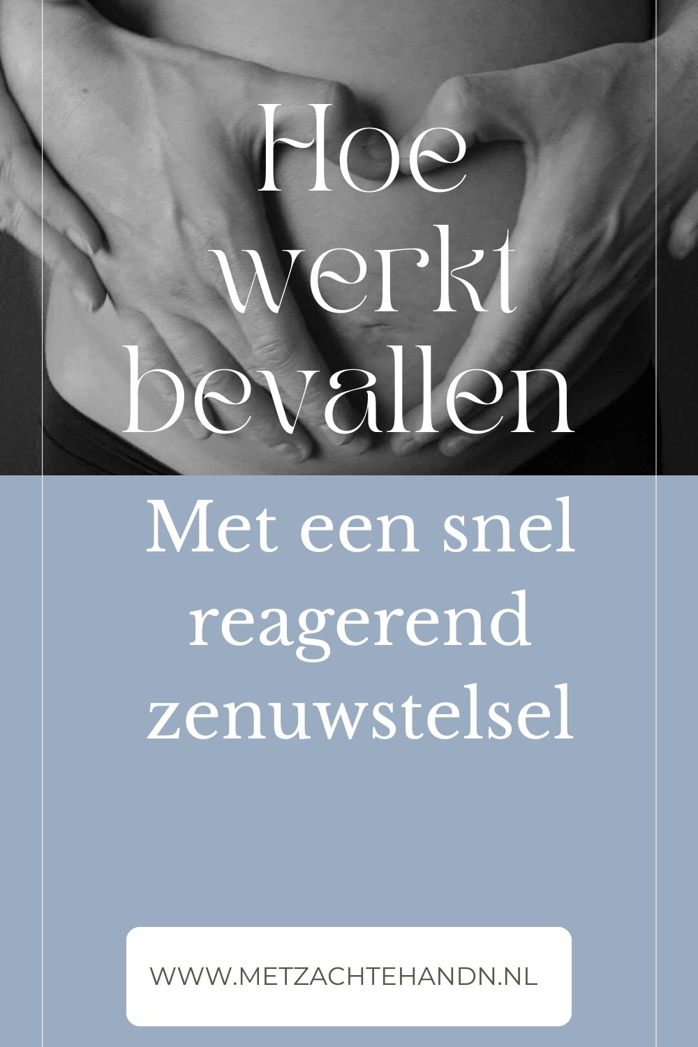 cover van cursus "Bevallen met een snelwerkend zenuwstelsel"