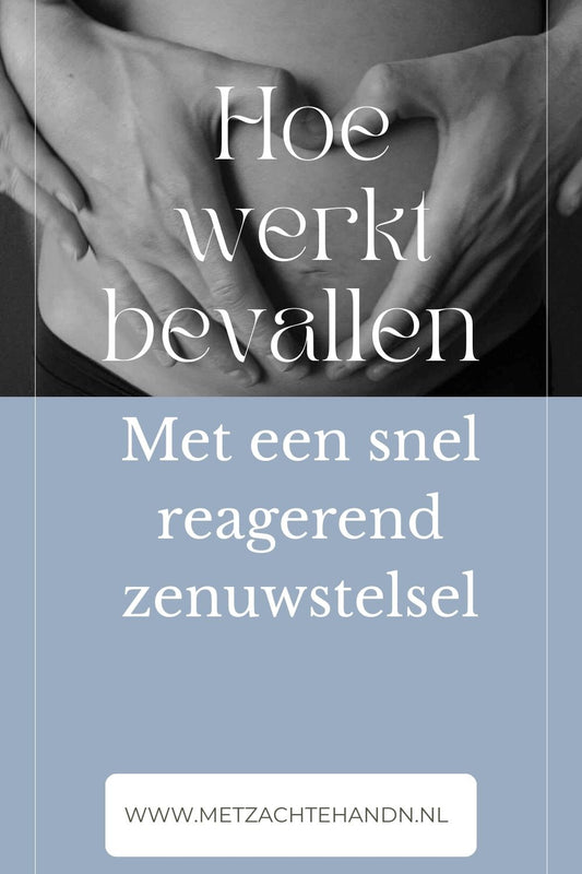 cover van cursus "Bevallen met een snelwerkend zenuwstelsel"