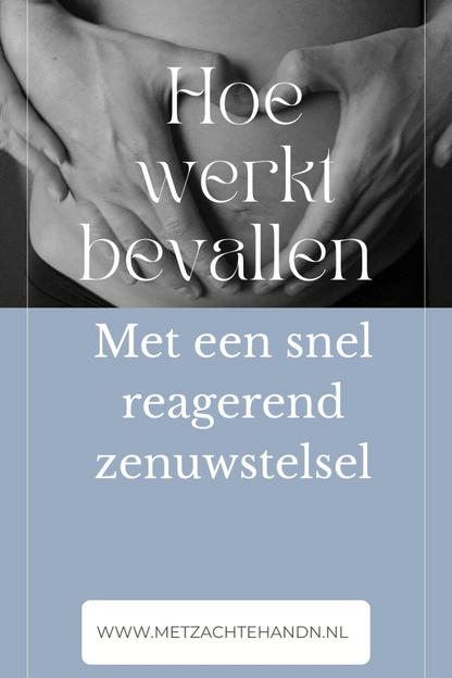 Van zwanger naar mama — het complete startpakket