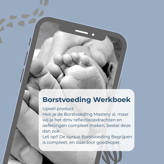 Borstvoeding Mastery Werkboek