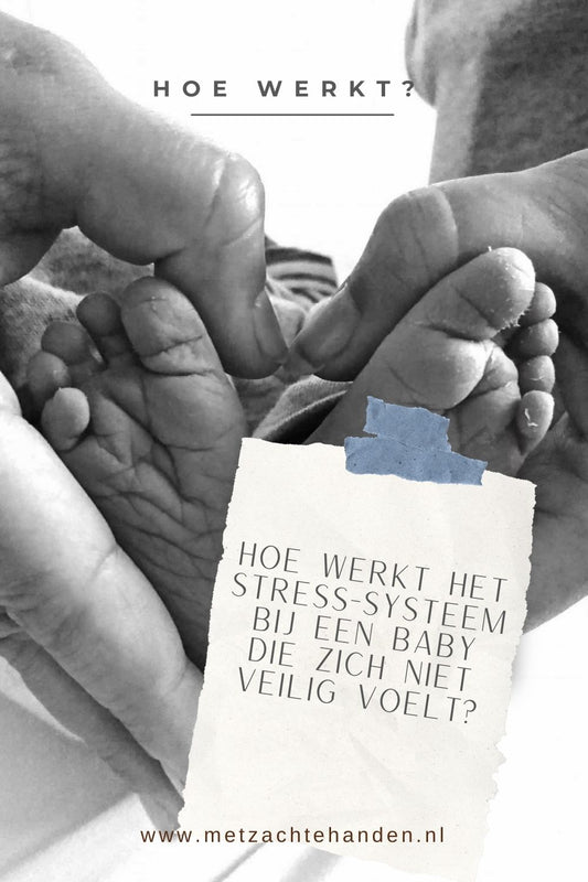 Hoe werkt het stresssysteem bij een baby die zich niet veilig voelt?