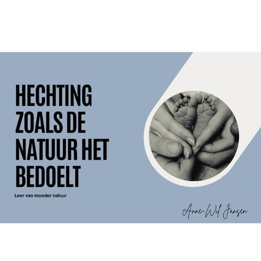 E Book Hechting en zintuigen